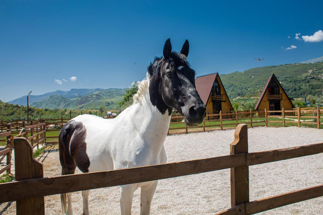 Вілла Sancho Farm Albania Memaliaj Екстер'єр фото