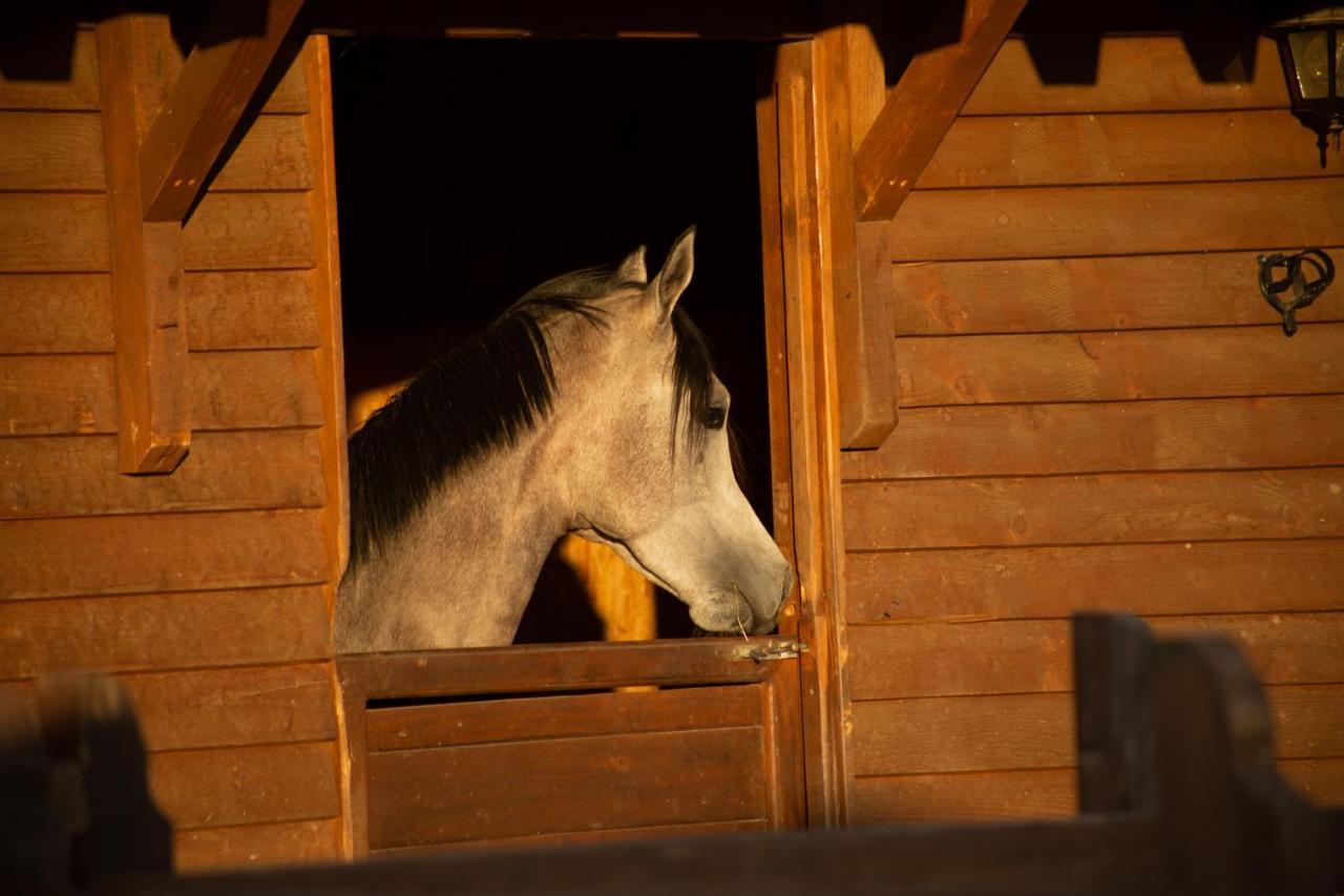 Вілла Sancho Farm Albania Memaliaj Екстер'єр фото