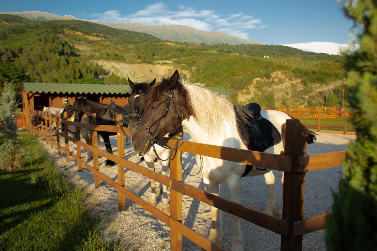 Вілла Sancho Farm Albania Memaliaj Екстер'єр фото
