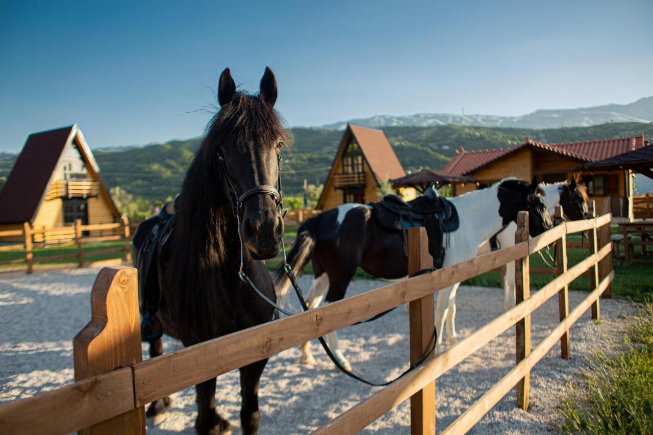 Вілла Sancho Farm Albania Memaliaj Екстер'єр фото