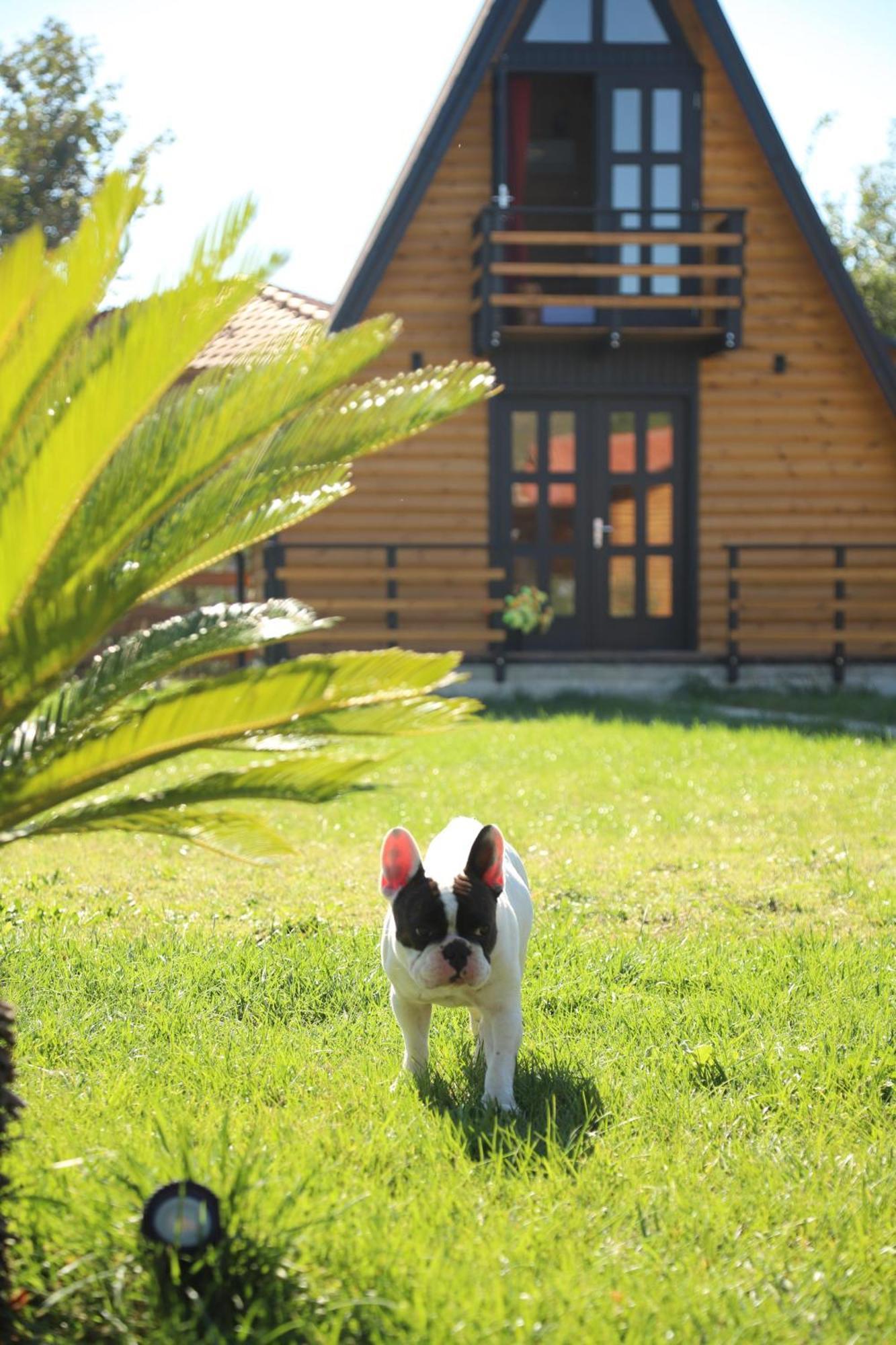 Вілла Sancho Farm Albania Memaliaj Екстер'єр фото