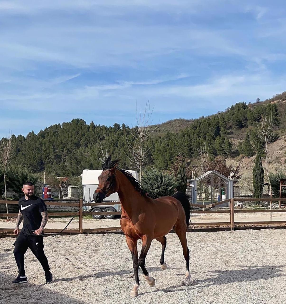 Вілла Sancho Farm Albania Memaliaj Екстер'єр фото