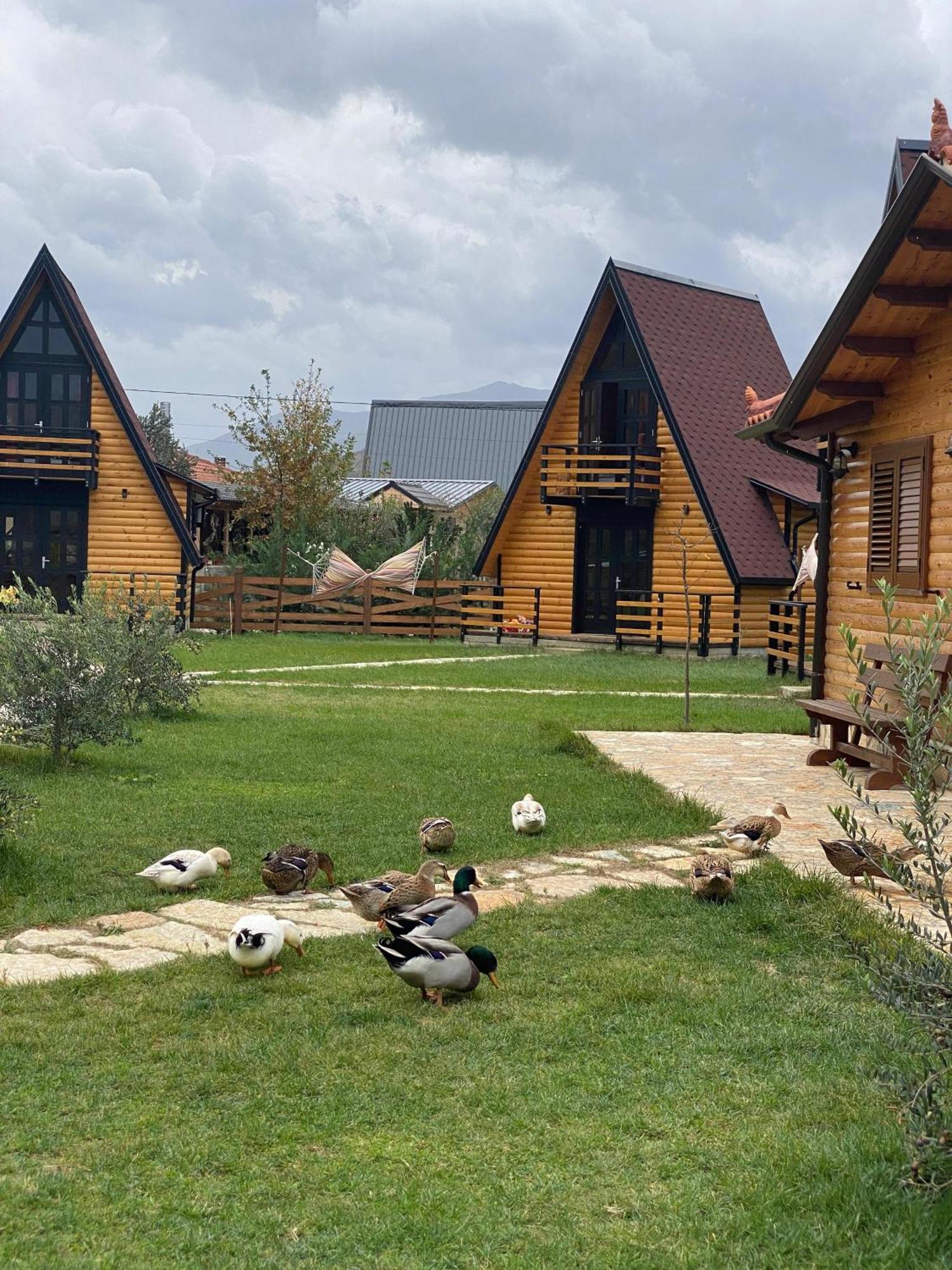 Вілла Sancho Farm Albania Memaliaj Екстер'єр фото
