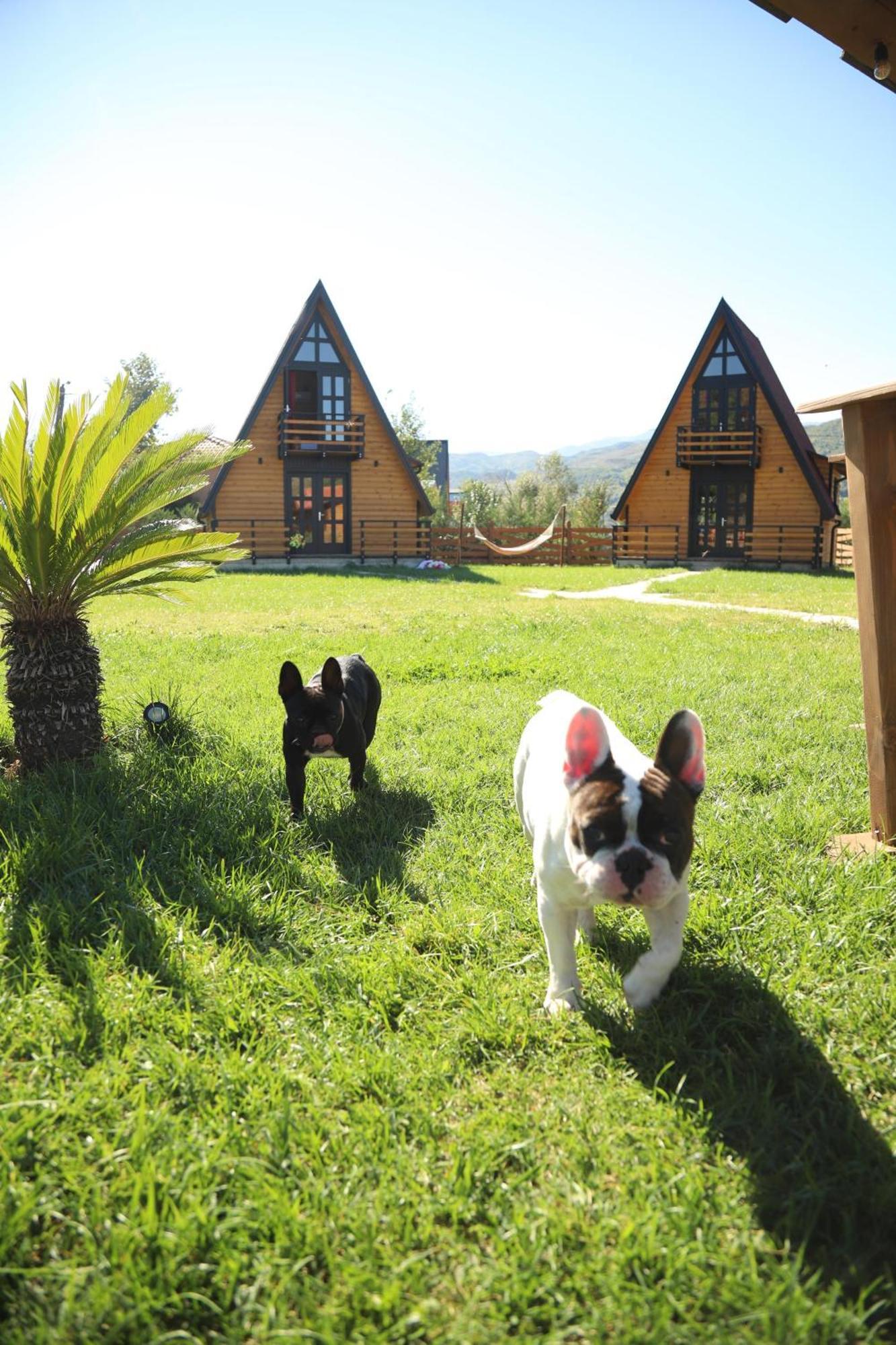 Вілла Sancho Farm Albania Memaliaj Екстер'єр фото