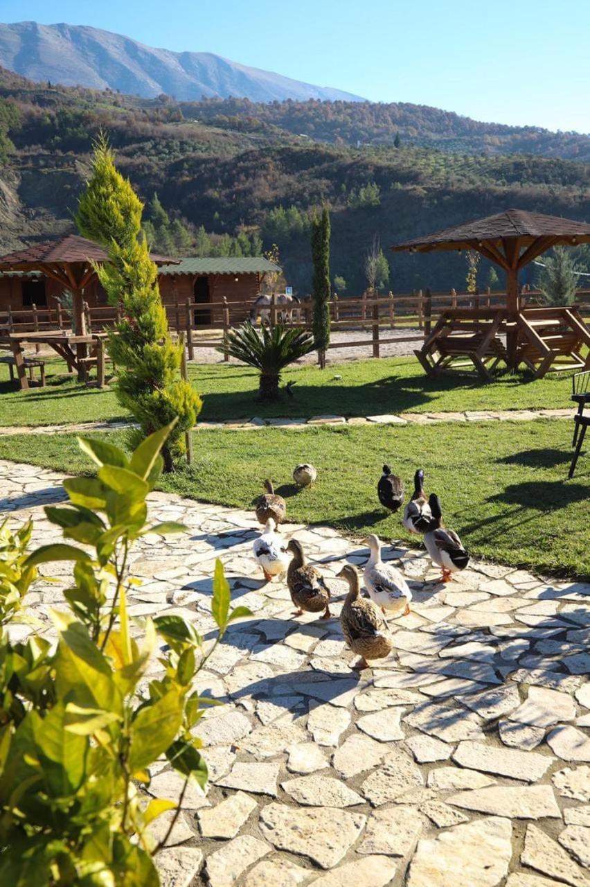 Вілла Sancho Farm Albania Memaliaj Екстер'єр фото
