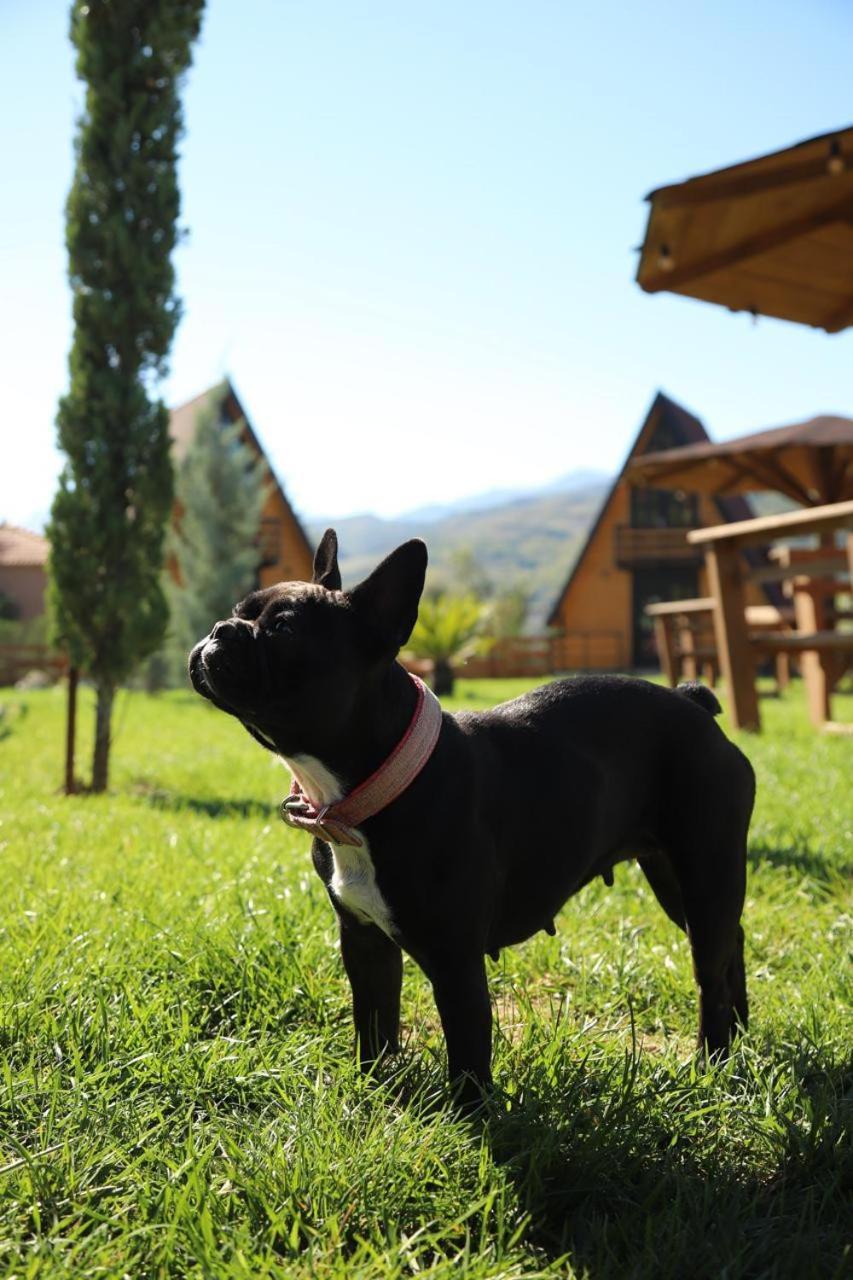 Вілла Sancho Farm Albania Memaliaj Екстер'єр фото